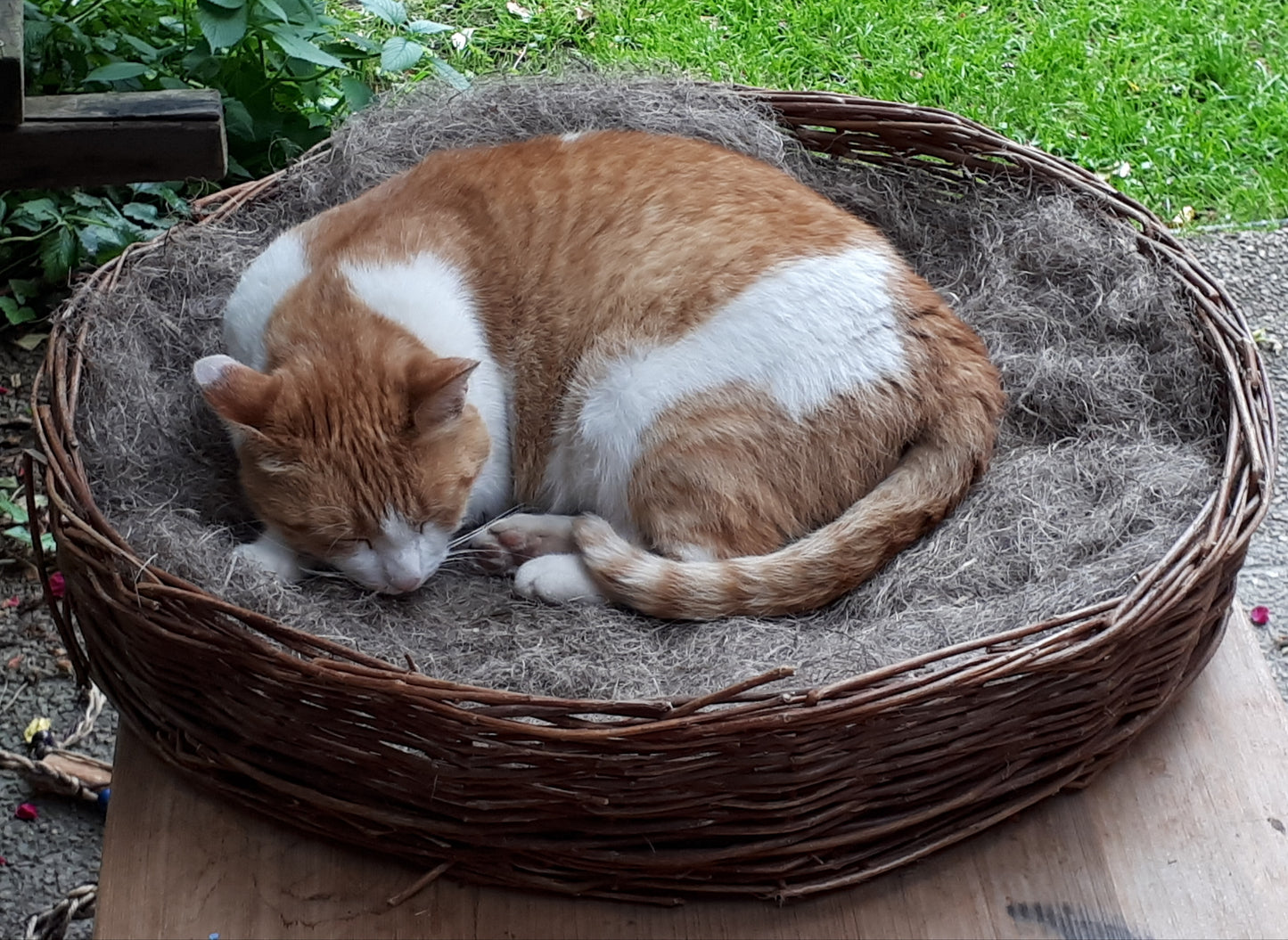 Hanffasern